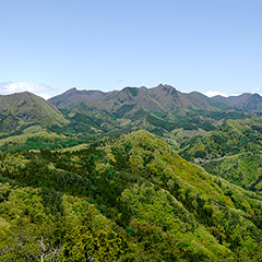 弥三郎岳